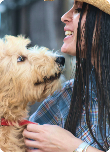 Wag Guarantee Step 1